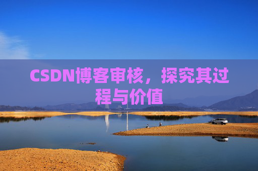 CSDN博客审核，探究其过程与价值